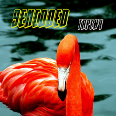 ENCODED#4