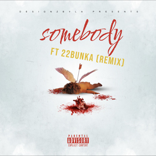 Somebody Ft 22Bunka (Remix)