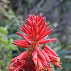 My fucking bestfriend