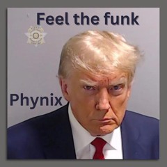 Feel The Funk