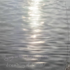 lying in the tall grass