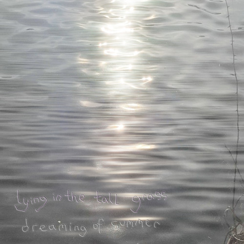 lying in the tall grass