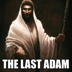 The Last Adam Part 2