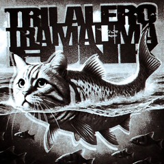 TRILALERO TRAMALIMA FUNK - DJ RUSSO ORIGINAL