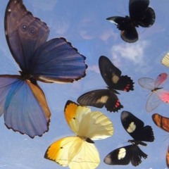 𝕓𝕒𝕓𝕪 𝕘𝕚𝕣𝕝