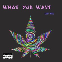 Cody King - What You Want