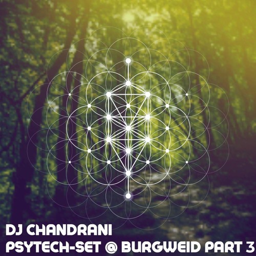 Psytech to Progtech - Set 3 - DJ Chandrani
