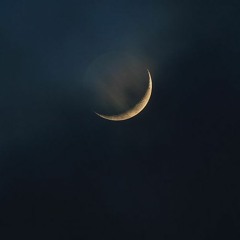 HAUS OF WANTON RADIO