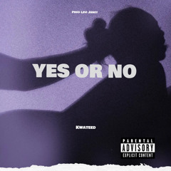 YES OR NO