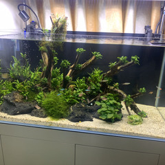 Thế giới ôm trọn lấy em