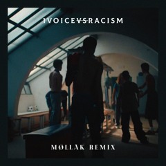 1VOICEVSRACISM (MØLLÄK - REMIX)