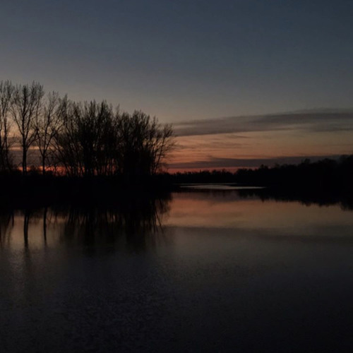 ssshhhiiittt! - тебя нет(кавер)