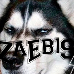 ZAEBIS' (8NFRA)