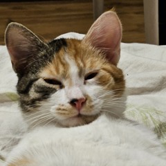 GUWER - NOCNA JAZDA (Majki Remix)