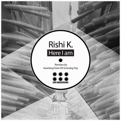 Rishi K. - Here I Am (Analog Trip Remix)