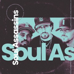 Militant Vinylist | Soul Assassins Mixtape