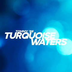 Turquoise Waters