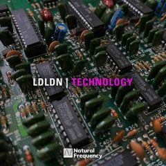 PREMIERE: LDLDN - Haptic Feedback [Natural Frequency Records]