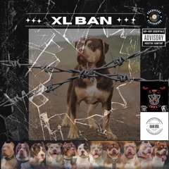 shame xl bully