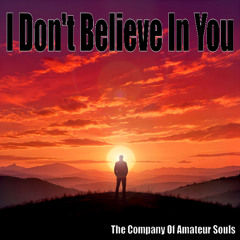 I Don't Believe In You