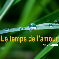 Le temps de l’amour (feat. Anien KID)