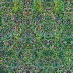 👁 👁