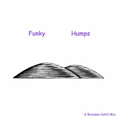 Funky Humps (Black Eyed Peas x Lipps inc Mashup)