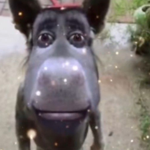 free flp or something