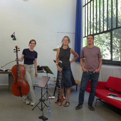 Jérôme Combier: Hollow Wood