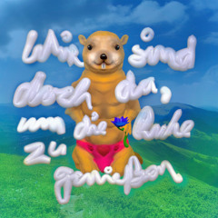 Wir sind doch da, um die Ruhe zu genießen