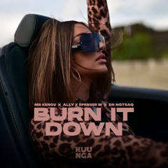 Spenser M, Mr. Kenou, Ally X DR Notsaq - Burn it Down ( Radio Edit )