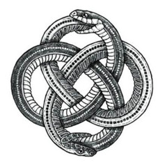 Coil Shuffle (acid dub)