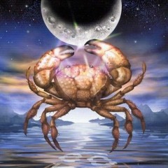CANCER  NEW MOON ECSTATIC DANCE YOGA BARN
