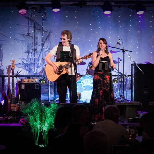 Fly Too High - Janis Ian [Cover with backing tracks]