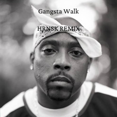 Gangsta Walk - HRNSK REMIX