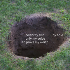 celebrity skin but its just my voice to prove my worth