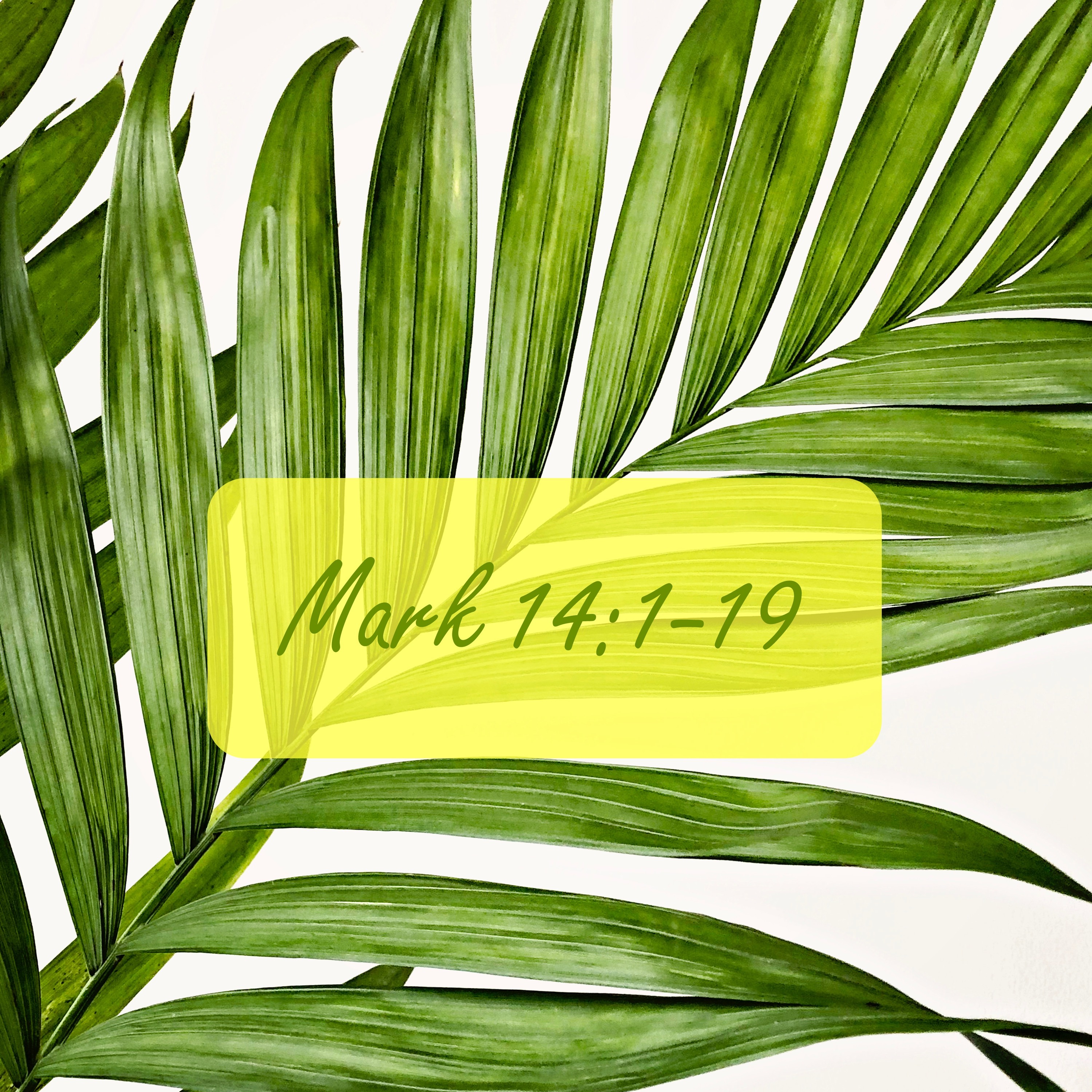 Palm Sunday 2021 episode artwork