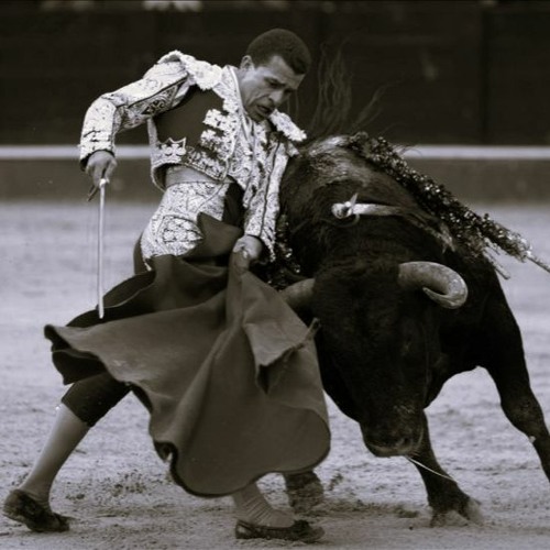 Chayanne & David M0leon - Torero Timbales (Metadani Mashup)
