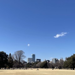 SweTea- Free Yourself