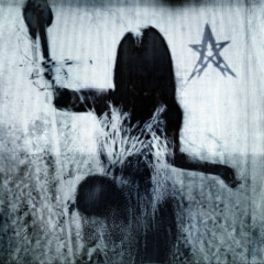Dreamer