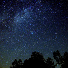 in the stars (ft. miro)