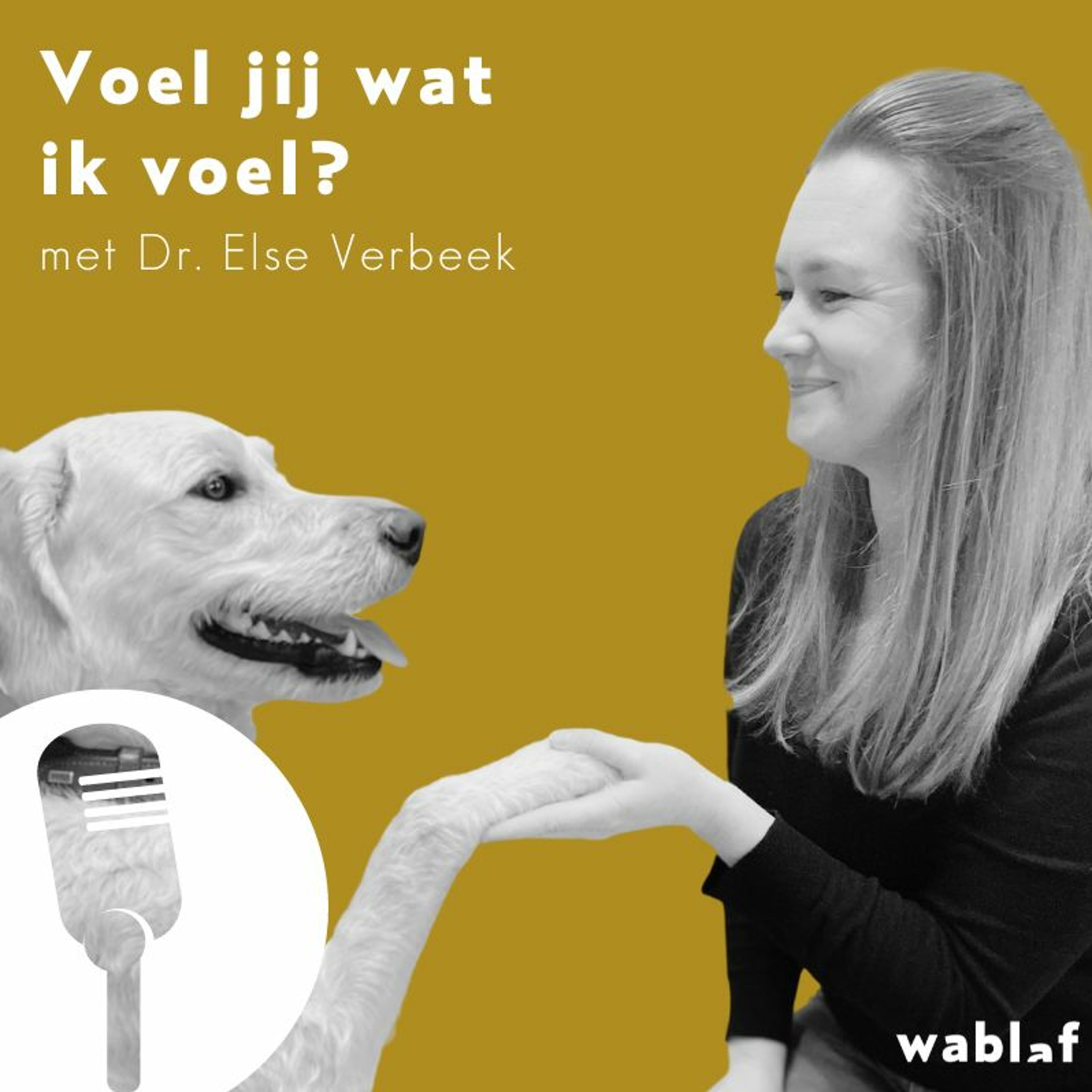 Bewuste Hondenmoeders