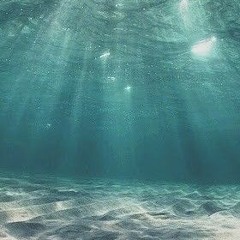 [Vietsub+Hot Tiktok ] Đáy Biển - Nhất Chi Lựu Liên ( Bản Gốc ) - 海底 - 一支榴莲