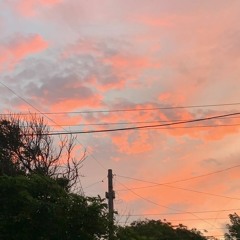 Quiet sunset (w/ Mr. Donsai)