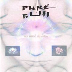 PURE BLISS 01 ˜”*°• no mud no lotus •°*”˜.