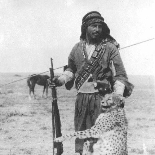 شيلة سلاطين عنزه
