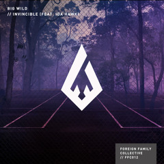 Invincible (feat. iDA HAWK)