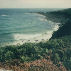 Trip to the Ocean Shore