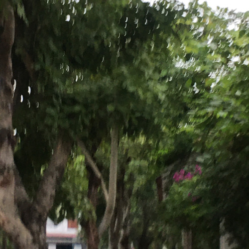 等十三月 - Đợi Đến Tháng 13 (Nhạc Trung)