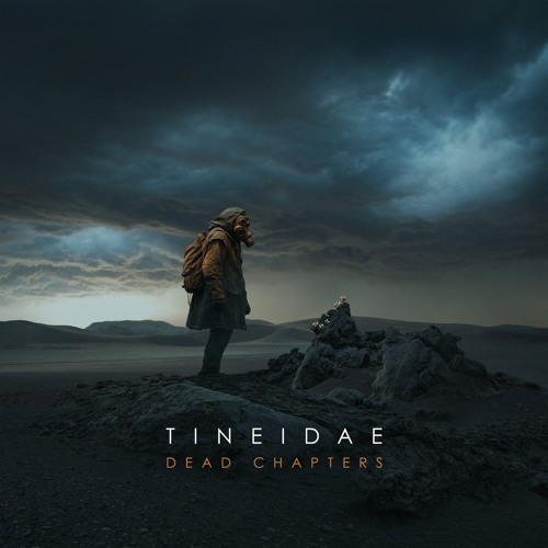 Tineidae - Horizon